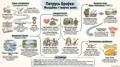 Пример материала: Инфографика