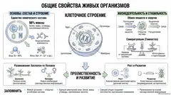 Пример материала: Инфографика