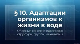 Пример материала: Презентация PDF