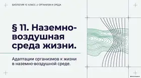 Пример материала: Презентация PDF