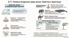 Пример материала: Инфографика