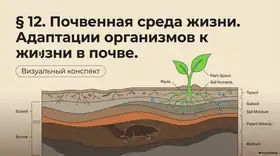 Пример материала: Презентация PDF