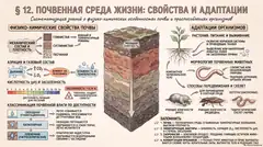 Пример материала: Инфографика