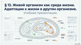 Пример материала: Презентация PDF