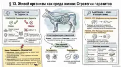 Пример материала: Инфографика