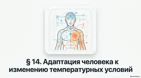 Пример материала: Презентация PDF