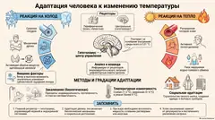Пример материала: Инфографика