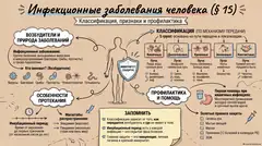 Пример материала: Инфографика