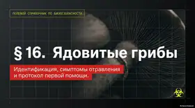 Пример материала: Презентация PDF