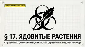 Пример материала: Презентация PDF