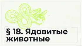 Пример материала: Презентация PDF