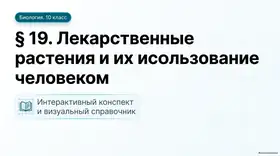 Пример материала: Презентация PDF