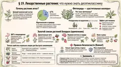 Пример материала: Инфографика