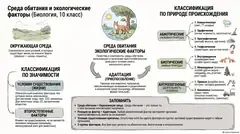 Пример материала: Инфографика