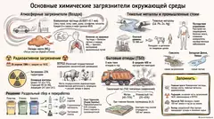 Пример материала: Инфографика