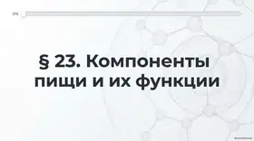 Пример материала: Презентация PDF