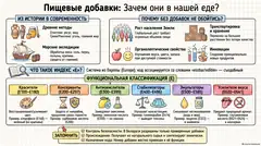 Пример материала: Инфографика