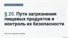 Пример материала: Презентация PDF