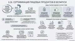 Пример материала: Инфографика