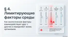 Пример материала: Презентация PDF