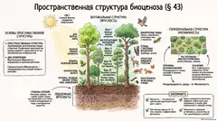 Пример материала: Инфографика