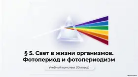 Пример материала: Презентация PDF