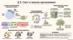 Пример материала: Инфографика