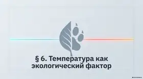 Пример материала: Презентация PDF