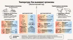 Пример материала: Инфографика