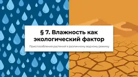 Пример материала: Презентация PDF