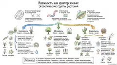 Пример материала: Инфографика