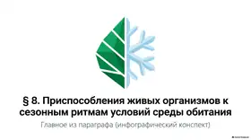 Пример материала: Презентация PDF