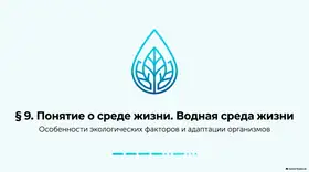 Пример материала: Презентация PDF