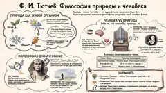 Пример материала: Инфографика